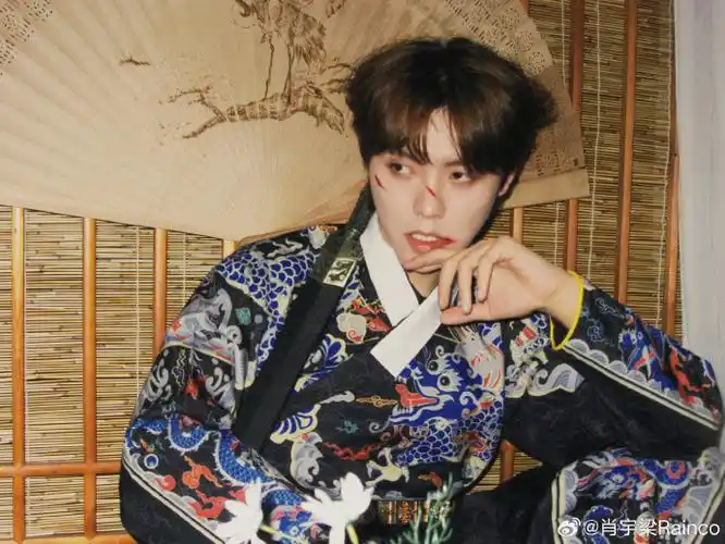 肖宇梁 纯元瓶##肖宇梁生日民族写真