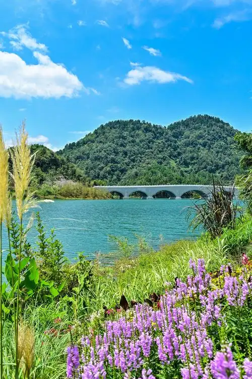 一园锦绣开画卷 绿水青山迎客来——第四届绿博会贵州园正式开园!