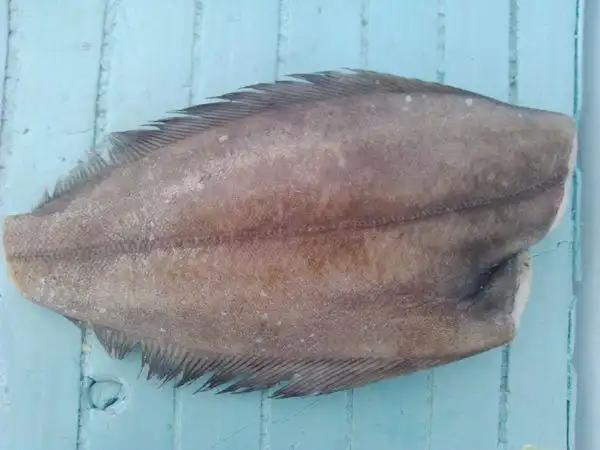 这种扁扁的海鱼是什么鱼?谁知道?最好说下怎么做才好吃呢!