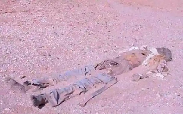 彭加木的失踪在网上传得十分神秘,其中传播率较高的一个神秘事件的是