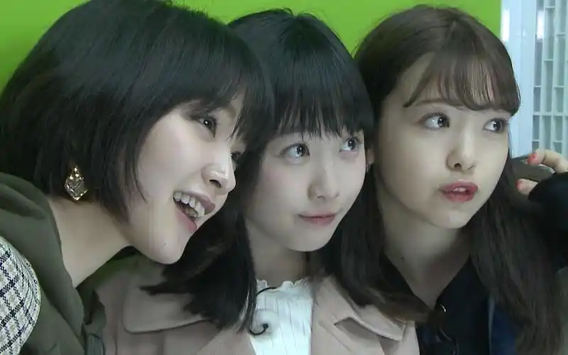 花之周五大调查【本田望结】_哔哩哔哩 (゜-゜)つロ 干杯~-bilibili