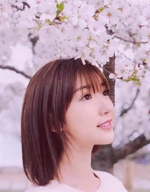 毛晓彤的这款短发造型叫"齐肩短发造型",是一款非常减龄的发型,和波波