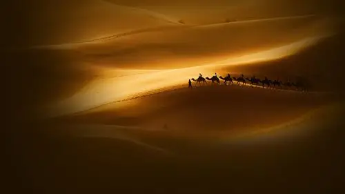 沙漠,骆驼,风景,红米自带壁纸,风景,手机壁纸,锁屏壁纸沙漠中的驼队