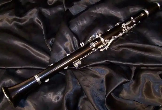 入门_单簧管_西洋乐器_知识_资讯_稻蕊咪音乐网