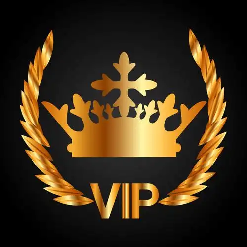 会员卡设计图片-矢量金色贵宾卡设计素材-高清图片-摄影照片-寻图免费