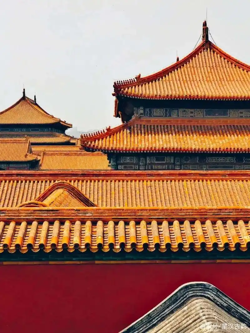 千古难题"故宫屋顶为啥没有鸟粪"被破解了