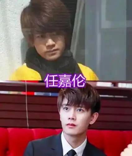 胖子都是潜力股任嘉伦华晨宇还好看到陈飞宇意外了