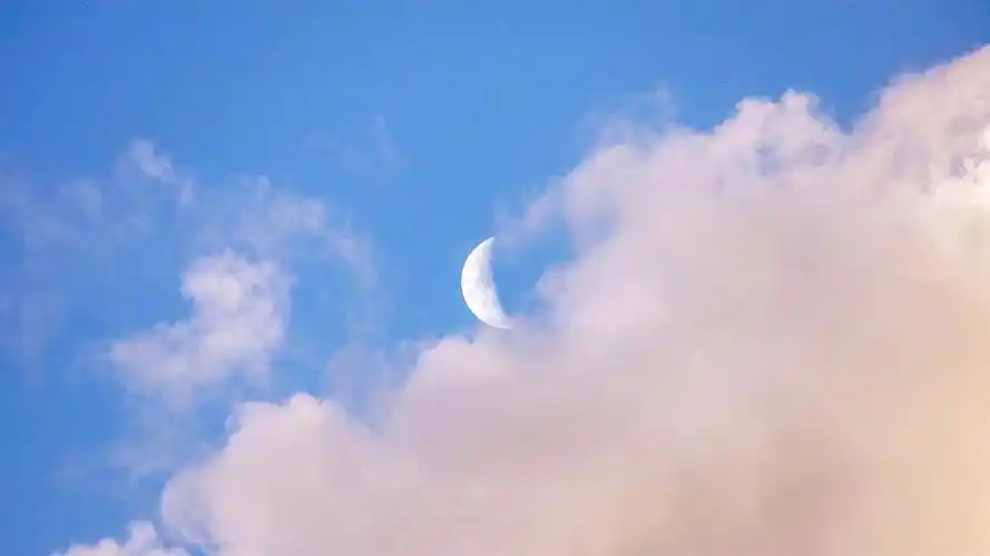 可以推荐下低调温柔又不俗气的笔记本壁纸嘛哈哈哈哈