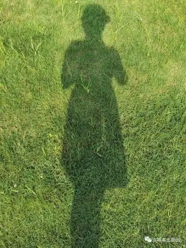 为自己找点小乐趣|拍影子