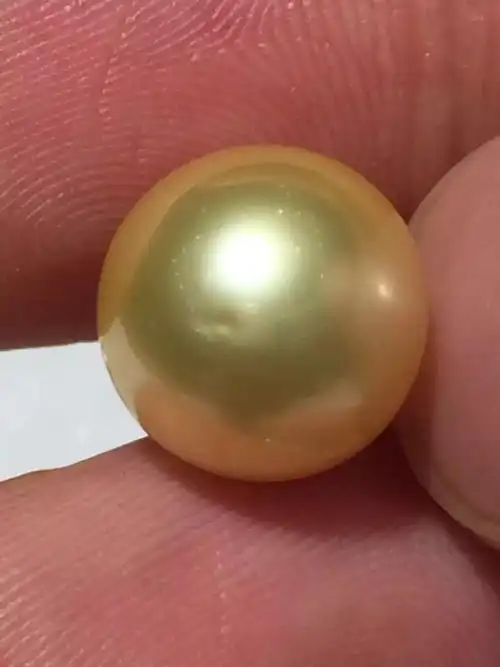 一颗金色珍珠值多少钱金色珍珠是天然的吗