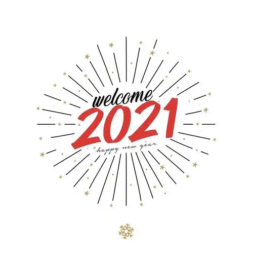 跨越2020迎接2021迎新年庆祝会