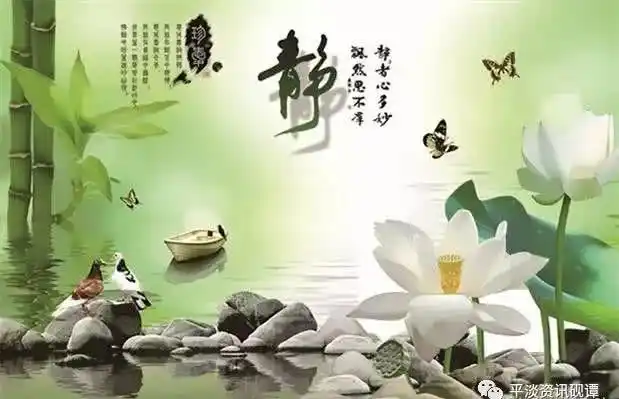 静能生慧.让心静下来,你才能看淡一切