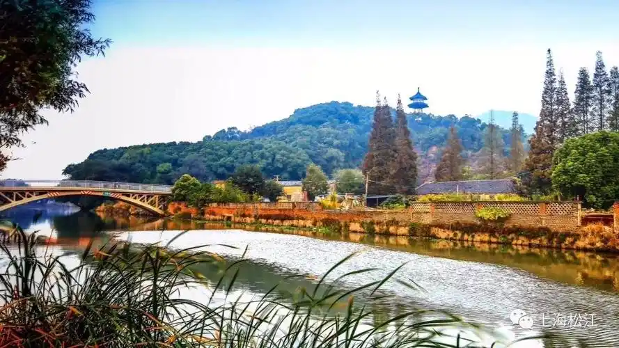 我为你打包了松江一整个秋天等你来收藏