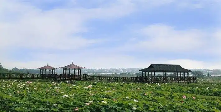 巴夫洛生态谷旅游景区位于高安市以东,南昌市以西的大城镇昌西文化