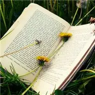 一本书头像图片大全,微信头像图片