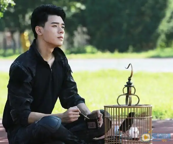 盛势剧情介绍(1-30集大结局)