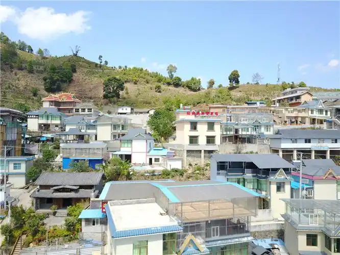 探访云南最贵山头茶冰岛老寨古茶树并没有传闻中的那么多上百年的古
