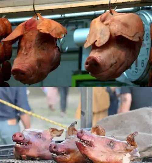 打猪头表情包像-七七游戏网