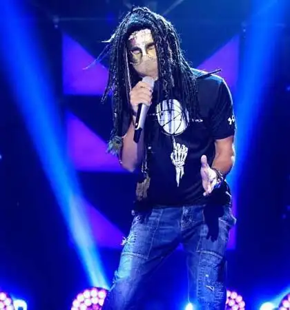 【图】蒙面歌王流浪者造型独特 沙宝亮荣耀揭面人气飙升