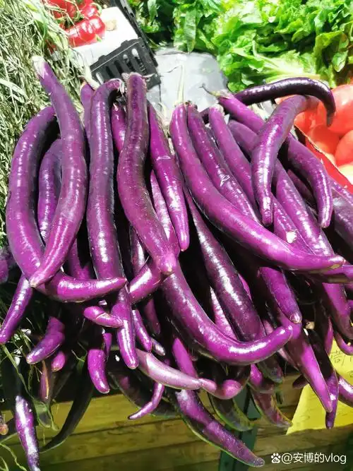 百家接力赛#杭茄是杭州地区常见的茄子品种,口感细腻,适合多种烹饪