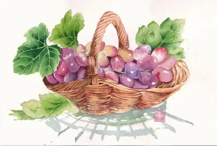 步骤  #水彩画教程  #临摹  #水果