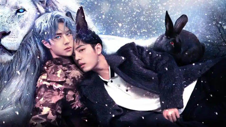 博君一肖 - 堆糖,美图壁纸兴趣社区