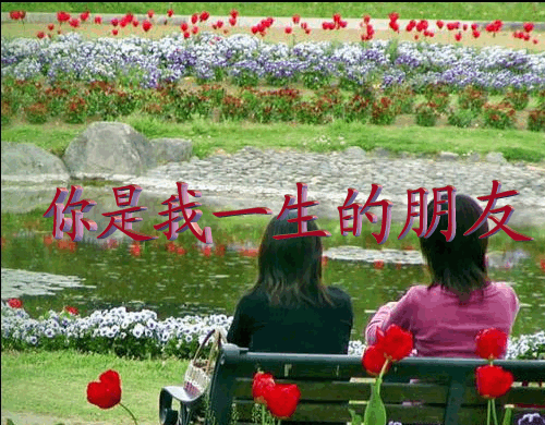 其它 朋友 写美篇  朋友是一辈子的事,不管岁月流逝多久多远,我依然