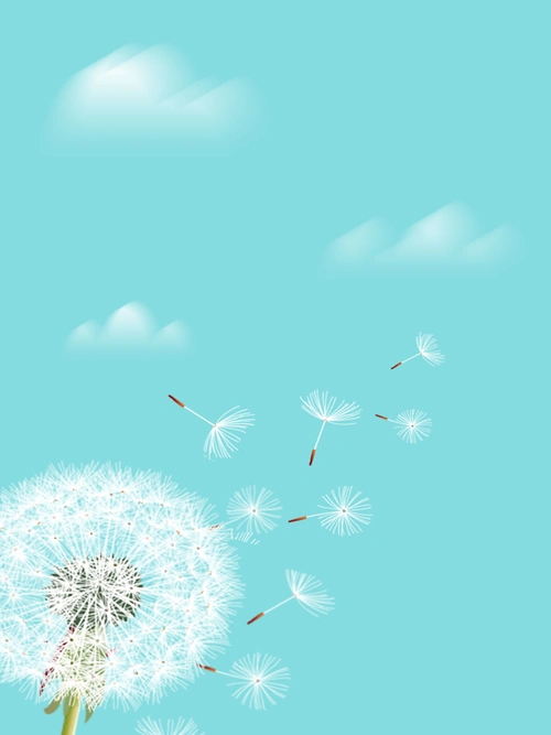 唯美清新蒲公英海报背景psd