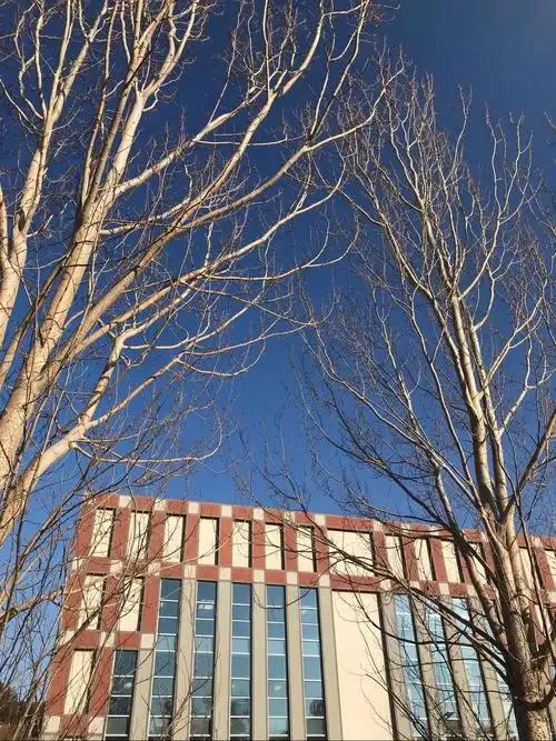 校园景色美,青春多美好