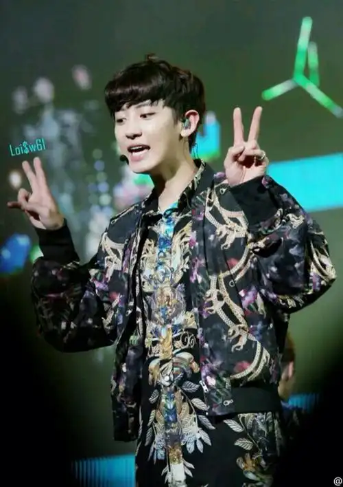 exo 朴灿烈 chanyeol 剪刀手