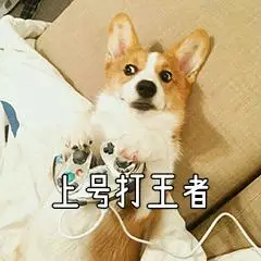 上号打王者表情包 - 日常表情包