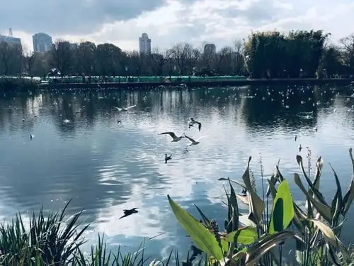 今日立春从此江山春意劝剪尽春云作舞衣