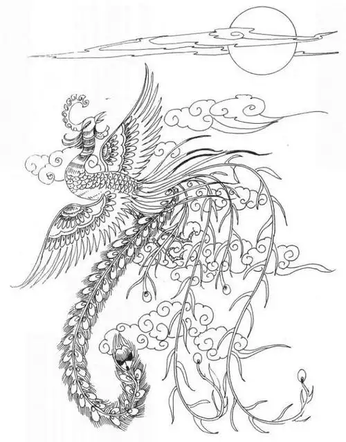 素材丨一组神鸟凤凰白描图谱