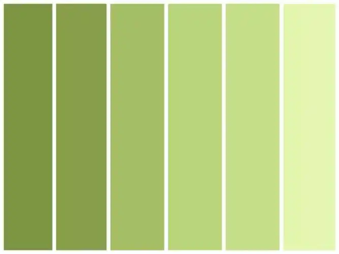 牛油果绿不是特指一个固定色值的颜色,横跨了绿色相中的多个颜色,本来