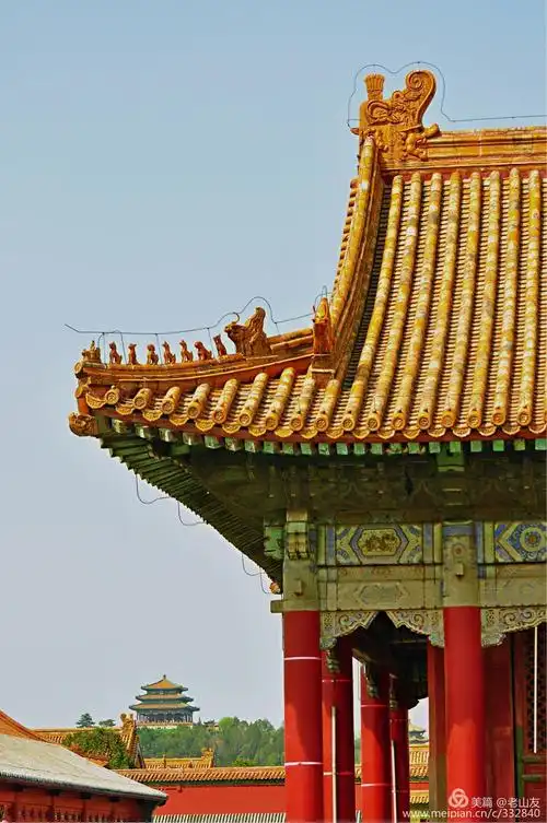 其它 故宫拍花习作   前几天学习拍花大都是特写,突出背景虚化,色调非