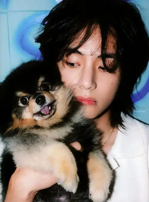 金泰亨##金泰亨专辑