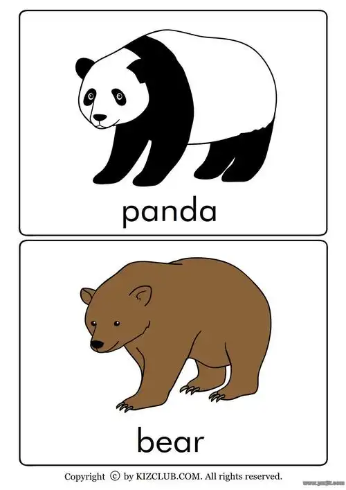 全套动物英文单词卡片高清版可打印适合孩子英语启蒙学习的有趣卡片