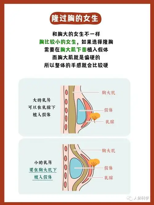 67【女性健康】女生的胸,为什么会忽软忽硬?