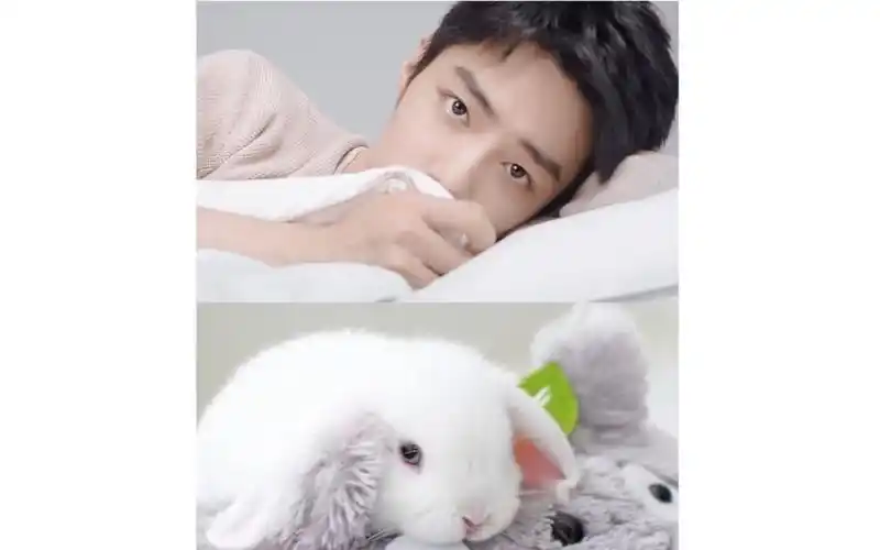 肖战|铺床小兔子变身化型