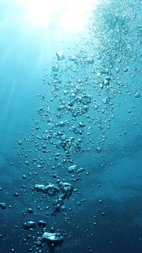 780_1386竖版 竖屏