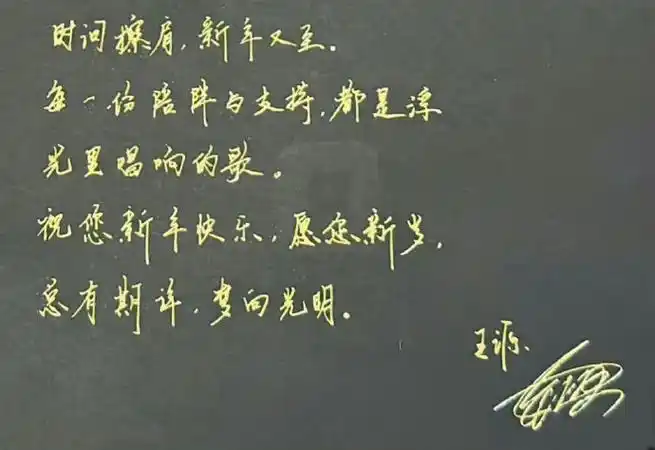 王源2024龙行绛气