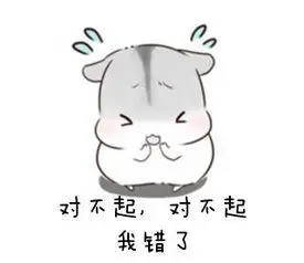 对不起,对不起我错了