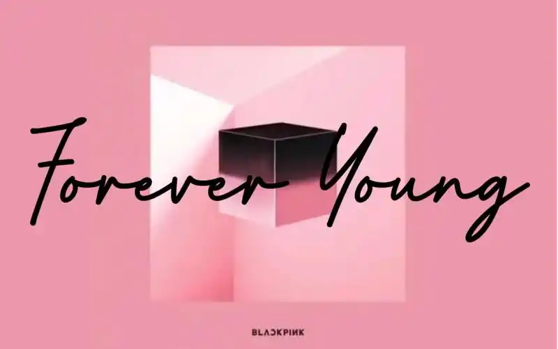 blackpinkforeveryoung中韩歌词自制版mv