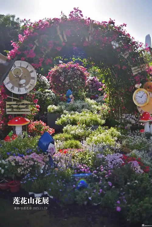 也拍莲花山花展