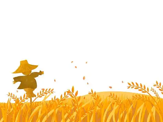 黄色手绘卡通小麦麦田田野农田稻草人元素png素材