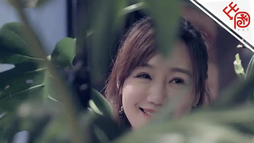 感情没归属怎么办薛佳凝答子非鱼安知鱼之乐