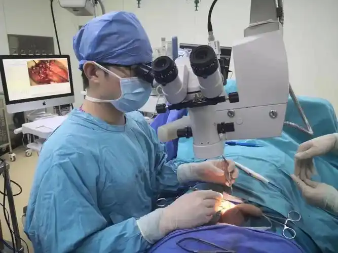 11岁男生的蛋蛋是什么样的(11男孩"蛋蛋"上长"蚯蚓"家长需警惕)