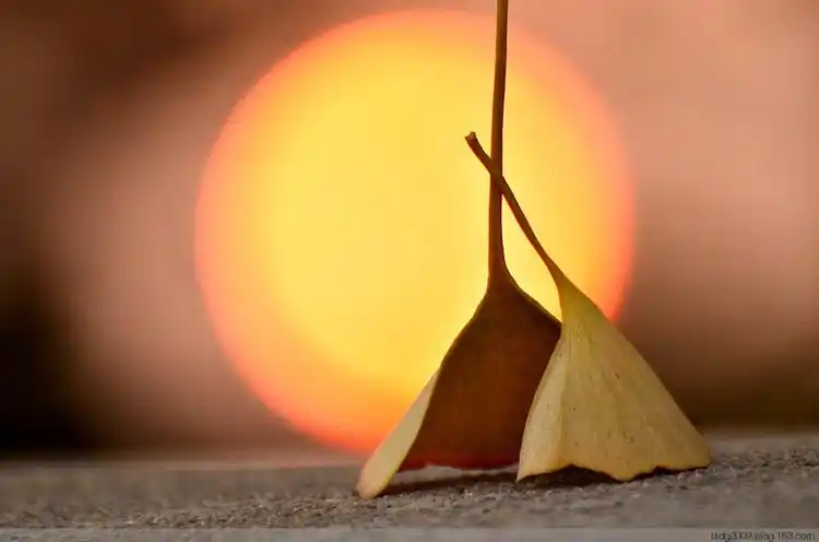 中国最有意境的33句诗文