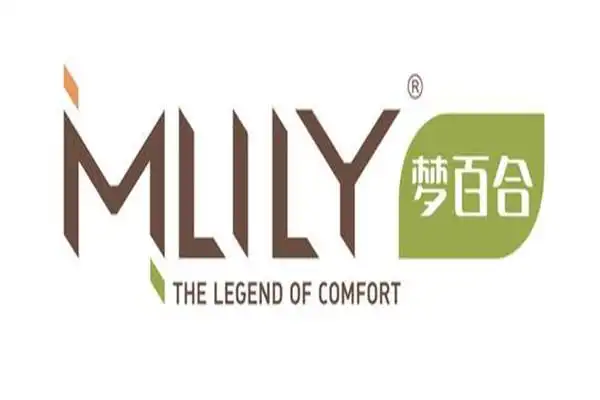 发源地:中国创立时间:2008年梦百合专业从事太空记忆绵床垫系列产品的