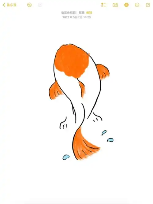 备忘录简笔画锦鲤录屏